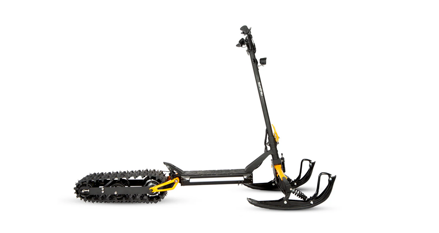 ICEX 1.0